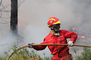 Acha que se devia retirar os bombeiros da frente de fogo ou do salvamento das florestas , animais ou pessoas ?