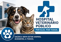  Criação de um Hospital Veterinário Público