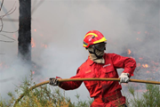 Crime de fogo posto deveria ser agravado para 25 ANOS?