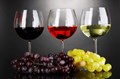 Quando compra vinho, procura previamente informação on line?