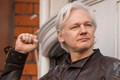 Concorda que Julian Assange deva ser condenado pelos crimes de conspiração contra diversos países?
